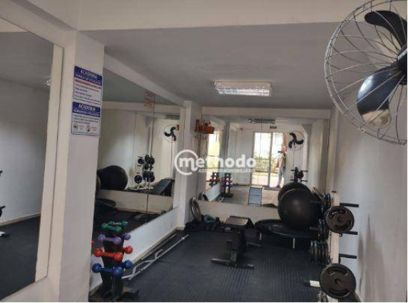 Imagem Apartamento com 2 Quartos para Alugar, 55 m² em Mansões Santo Antônio - Campinas Imagem Apartamento com 2 Quartos para Alugar, 55 m² em Mansões Santo Antônio - Campinas