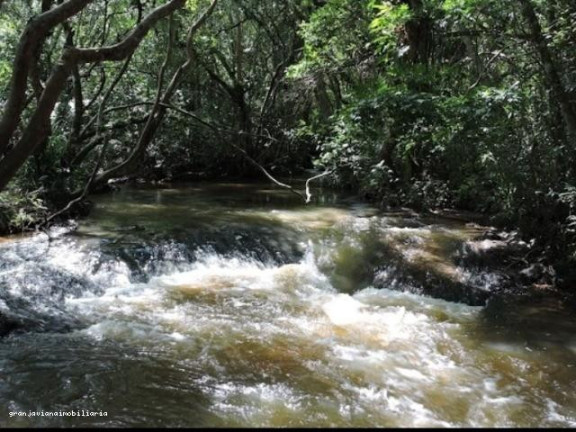Imagem Chácara à Venda, em Bairro Da Vargem Do Salto - Ibiúna Imagem Chácara à Venda, em Bairro Da Vargem Do Salto - Ibiúna
