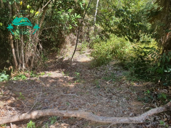 Imagem Imóvel à Venda, 800 m² em Curralinho - Mata De São João Imagem Imóvel à Venda, 800 m² em Curralinho - Mata De São João
