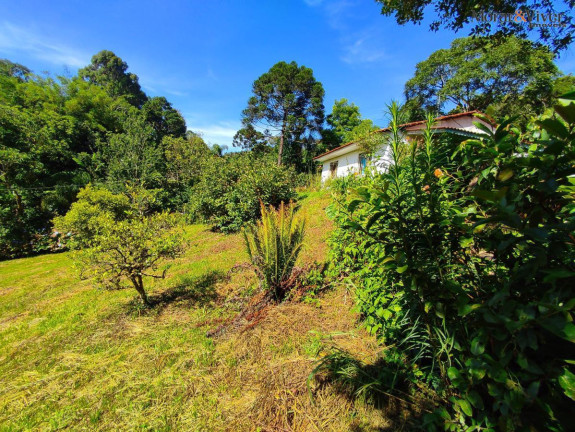 Imagem Chácara com 2 Quartos à Venda, 7.724 m² em Loteamento Chácara Chantecler - Piraquara Imagem Chácara com 2 Quartos à Venda, 7.724 m² em Loteamento Chácara Chantecler - Piraquara