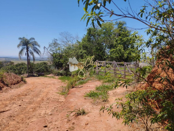 Imagem Casa com 1 Quarto à Venda, 381 m² em Chácara Santa Maria - Itapecerica Da Serra Imagem Casa com 1 Quarto à Venda, 381 m² em Chácara Santa Maria - Itapecerica Da Serra