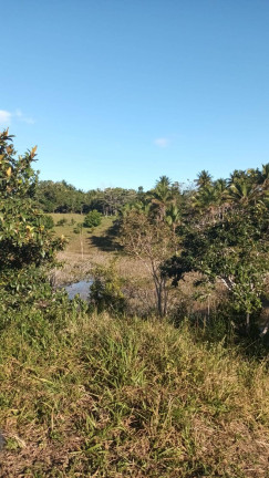 Imagem Chácara à Venda, 2 m² em Tibina - Uruçuca Imagem Chácara à Venda, 2 m² em Tibina - Uruçuca