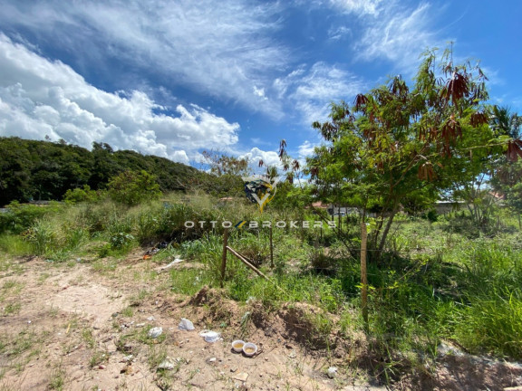Imagem Terreno à Venda, 200 m² em Nova Cabrália - Santa Cruz Cabrália Imagem Terreno à Venda, 200 m² em Nova Cabrália - Santa Cruz Cabrália
