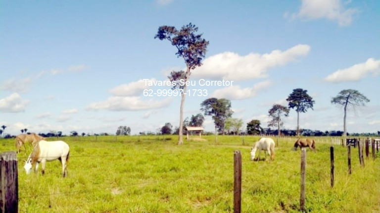 Imagem Imóvel à Venda, em Zona Rural - São Félix Do Xingu Imagem Imóvel à Venda, em Zona Rural - São Félix Do Xingu