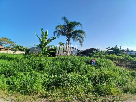 Imagem Terreno à Venda, 345 m² em Salinas - Balneário Barra Do Sul Imagem Terreno à Venda, 345 m² em Salinas - Balneário Barra Do Sul