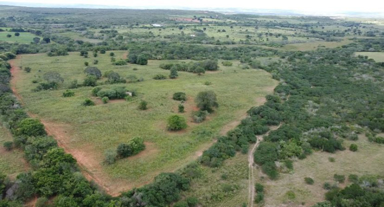 Fazenda à Venda, 310.000 m² em Br 116 - Euclides Da Cunha