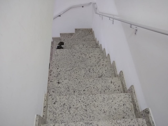 Imagem Casa de Condomínio com 2 Quartos à Venda, 60 m² em Jaçanã - São Paulo