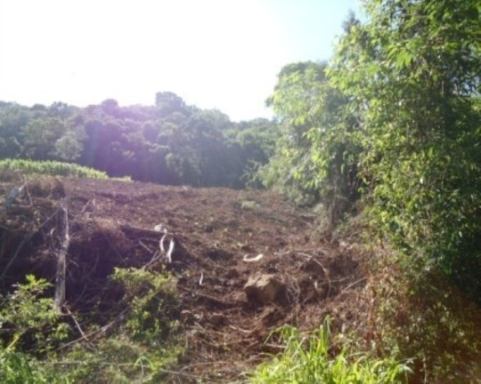 Terreno à Venda, 4 m² em Morro Da Fome - Nova Petrópolis