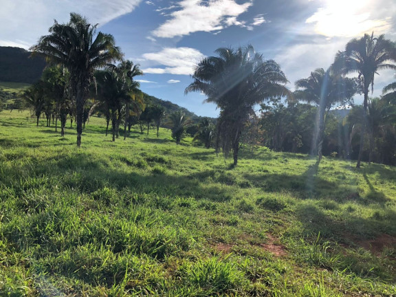 Imagem Fazenda à Venda, 6.050.000 m² em Zona Rural - Cocalzinho De Goiás Imagem Fazenda à Venda, 6.050.000 m² em Zona Rural - Cocalzinho De Goiás