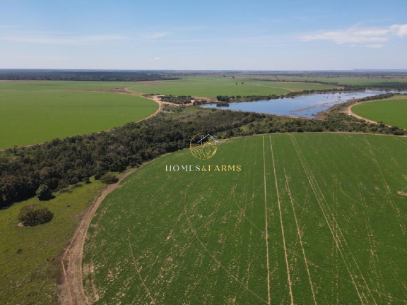 Imagem Imóvel com 3 Quartos à Venda, 5.290 m² em Zona Rural - Britânia Imagem Imóvel com 3 Quartos à Venda, 5.290 m² em Zona Rural - Britânia