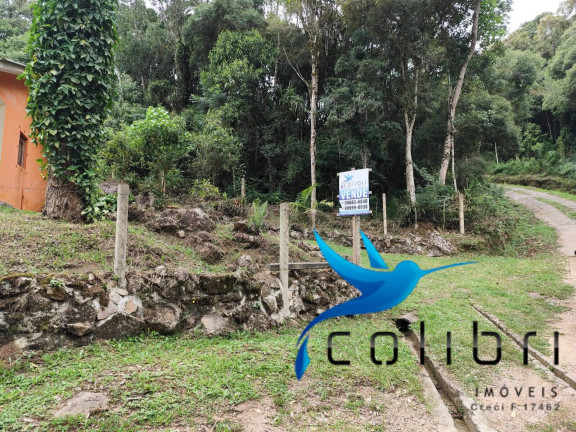 Imagem Chácara com 2 Quartos à Venda, 1.547 m² em Ximbuva - Agudos Do Sul