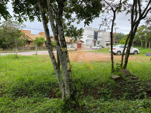 Imagem Terreno à Venda, em Morrinhos - Garopaba Imagem Terreno à Venda, em Morrinhos - Garopaba