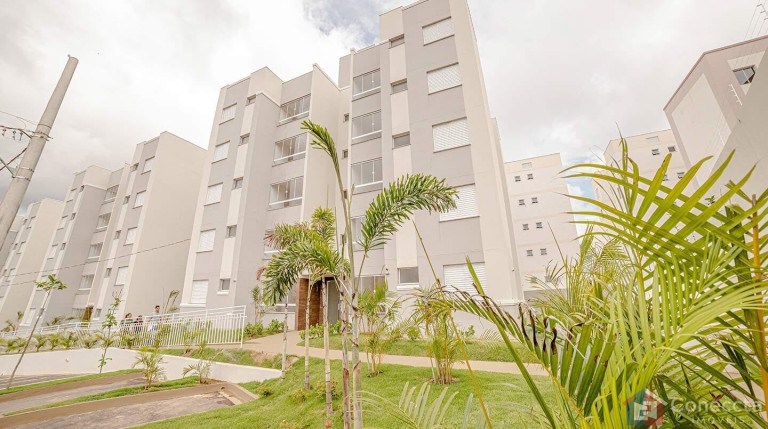 Imagem Apartamento com 2 Quartos à Venda, 50 m² em Ipanema - Patos De Minas