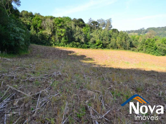 Imagem Imóvel à Venda, em Pinhal Alto - Nova Petrópolis Imagem Imóvel à Venda, em Pinhal Alto - Nova Petrópolis