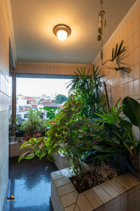 Imagem Apartamento com 4 Quartos à Venda, em Bosque Da Saúde - São Paulo Imagem Apartamento com 4 Quartos à Venda, em Bosque Da Saúde - São Paulo