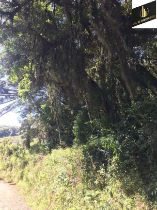 Imagem Imóvel com 3 Quartos à Venda, 30.000 m² em Zona Rural - Tijucas Do Sul