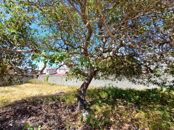 Imagem Terreno à Venda, 765 m² em Ponta Negra - Natal
