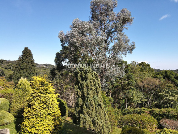 Imagem Casa com 4 Quartos à Venda, 245 m² em Região Do Alto Da Boa Vista - Campos Do Jordão Imagem Casa com 4 Quartos à Venda, 245 m² em Região Do Alto Da Boa Vista - Campos Do Jordão