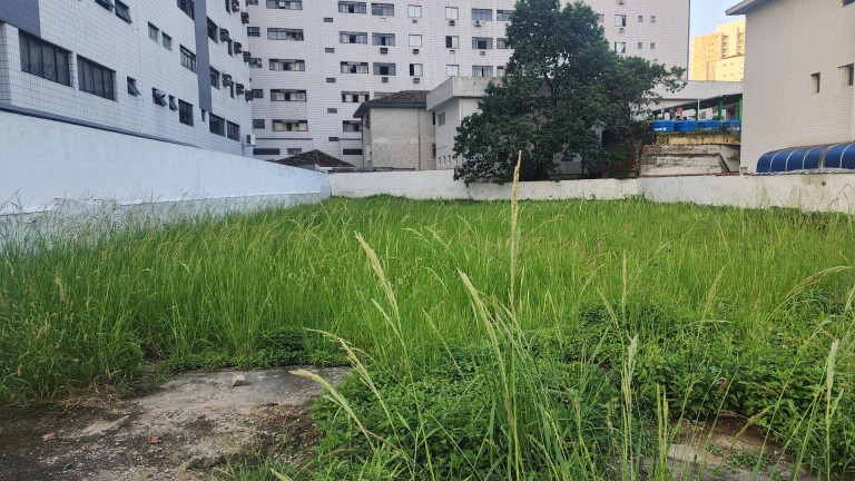 Imagem Terreno para Alugar, 900 m² em Ponta Da Praia - Santos Imagem Terreno para Alugar, 900 m² em Ponta Da Praia - Santos