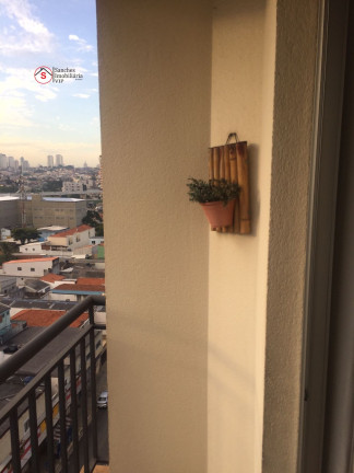 Imagem Apartamento com 2 Quartos à Venda, 50 m² em Quinta Da Paineira - São Paulo Imagem Apartamento com 2 Quartos à Venda, 50 m² em Quinta Da Paineira - São Paulo