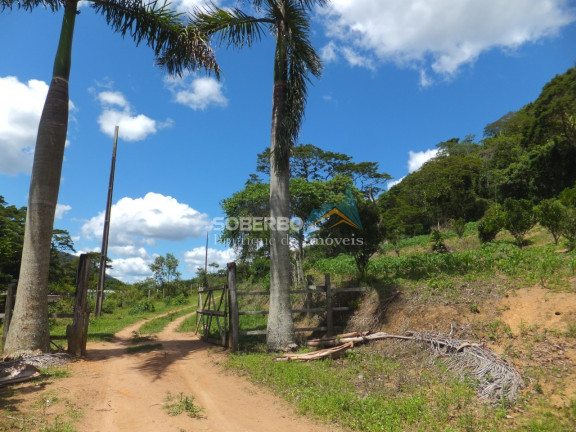 Imagem Imóvel com 4 Quartos à Venda, 1.016.400 m² em Providência - Teresópolis Imagem Imóvel com 4 Quartos à Venda, 1.016.400 m² em Providência - Teresópolis