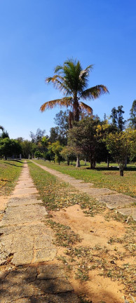 Imagem Imóvel com 14 Quartos à Venda, 25.000 m² em Centro - Itapetininga Imagem Imóvel com 14 Quartos à Venda, 25.000 m² em Centro - Itapetininga