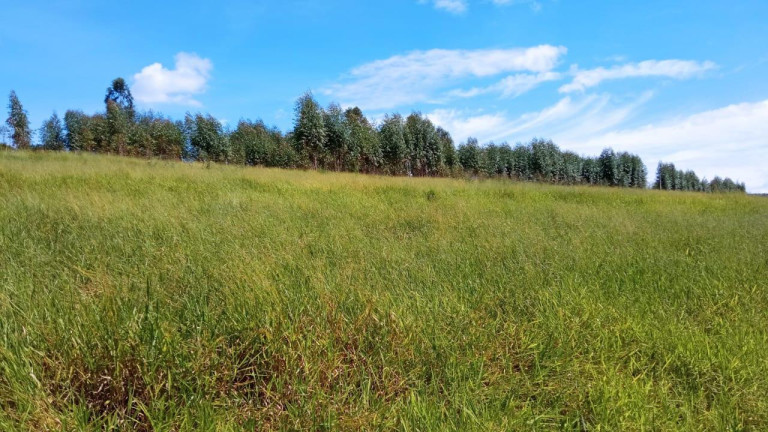 Imagem Chácara à Venda, 2 m² em Rural - Arandu Imagem Chácara à Venda, 2 m² em Rural - Arandu