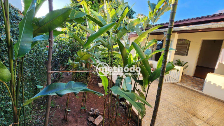 Imagem Casa com 3 Quartos à Venda, 132 m² em Jardim Flamboyant - Campinas Imagem Casa com 3 Quartos à Venda, 132 m² em Jardim Flamboyant - Campinas
