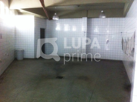 Imagem Apartamento com 4 Quartos à Venda, 190 m² em água Fria - São Paulo