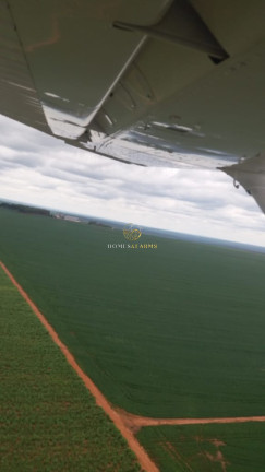 Imagem Imóvel com 4 Quartos à Venda, 103.000 m² em Zona Rural - Porto Alegre Do Norte Imagem Imóvel com 4 Quartos à Venda, 103.000 m² em Zona Rural - Porto Alegre Do Norte