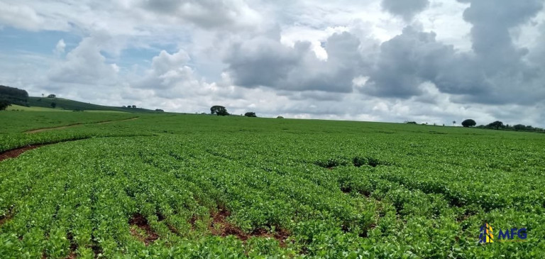 Imagem Chácara à Venda,  em área Rural - Tupaciguara
