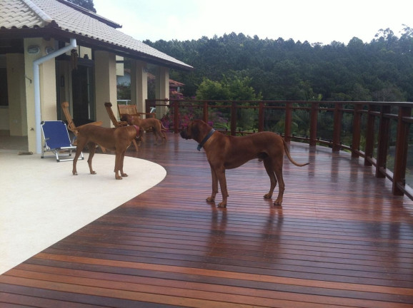 Imagem Casa com 6 Quartos à Venda, 493 m² em João Paulo - Florianópolis