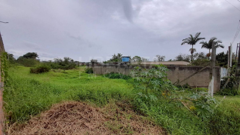 Imagem Ponto Comercial à Venda, em Volta Grande - Navegantes Imagem Ponto Comercial à Venda, em Volta Grande - Navegantes