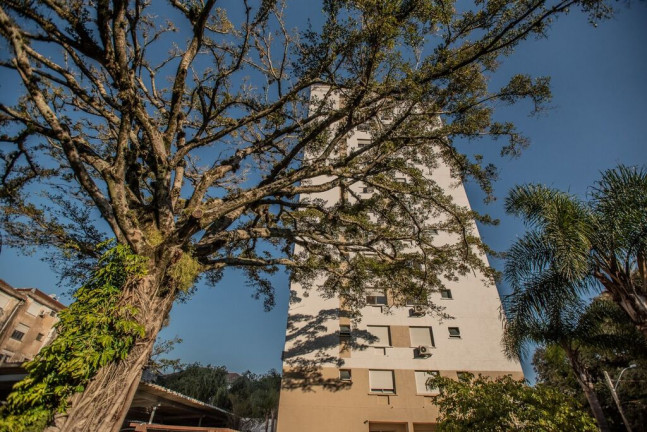 Imagem Apartamento com 3 Quartos à Venda, 84 m² em Jardim Lindóia - Porto Alegre Imagem Apartamento com 3 Quartos à Venda, 84 m² em Jardim Lindóia - Porto Alegre