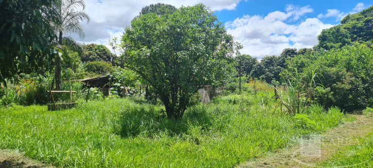 Imagem Imóvel com 2 Quartos à Venda, 150 m² em Jardim Helena - Ribeirão Preto Imagem Imóvel com 2 Quartos à Venda, 150 m² em Jardim Helena - Ribeirão Preto