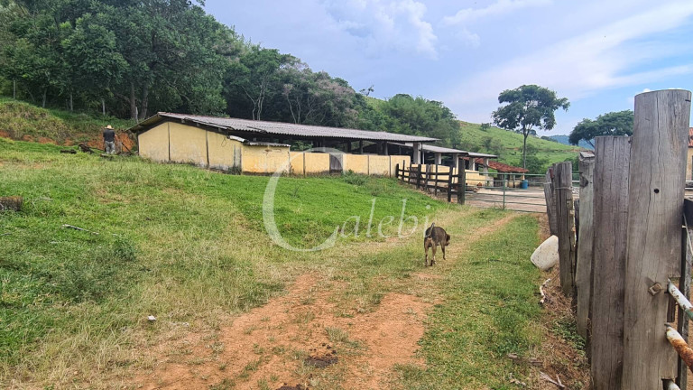 Imagem Fazenda à Venda, 63 m² em Centro - Itapira Imagem Fazenda à Venda, 63 m² em Centro - Itapira