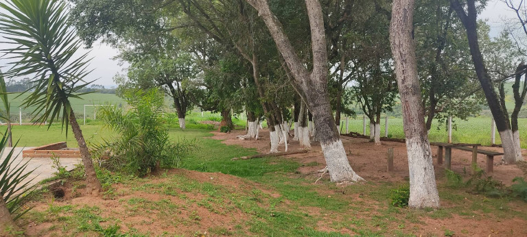 Imagem Chácara com 3 Quartos à Venda, 1.180 m² em Cerrado - Alambari