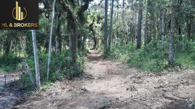 Imagem Imóvel à Venda, 20.000 m² em Quitandinha - Quitandinha Imagem Imóvel à Venda, 20.000 m² em Quitandinha - Quitandinha