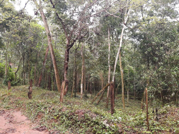 Imagem Terreno à Venda, 2 m² em Maracanã - Jarinu Imagem Terreno à Venda, 2 m² em Maracanã - Jarinu