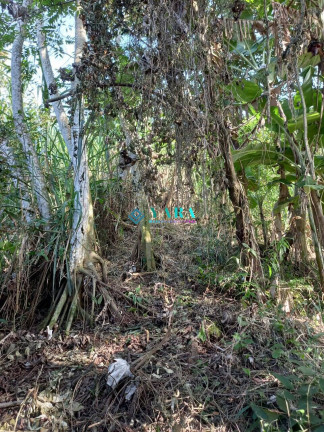 Imagem Terreno à Venda, 1.938 m² em Barra Velha - Ilhabela Imagem Terreno à Venda, 1.938 m² em Barra Velha - Ilhabela