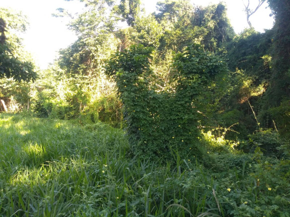 Imagem Chácara com 2 Quartos à Venda, 14 m² em Itarassú - Capela Do Alto