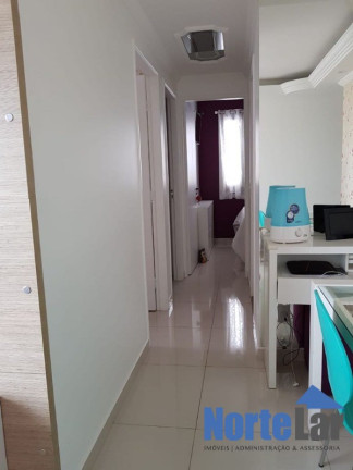 Imagem Apartamento com 3 Quartos à Venda, 55 m² em Vila Amélia - São Paulo