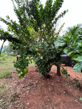Imagem Chácara à Venda, 121 m² em Pr 580 - Cidade Gaúcha Imagem Chácara à Venda, 121 m² em Pr 580 - Cidade Gaúcha