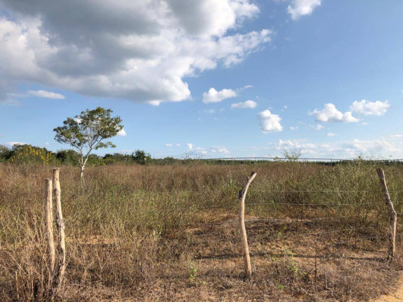 Imagem Fazenda à Venda, 1.000 m² em Centro - São Francisco Imagem Fazenda à Venda, 1.000 m² em Centro - São Francisco