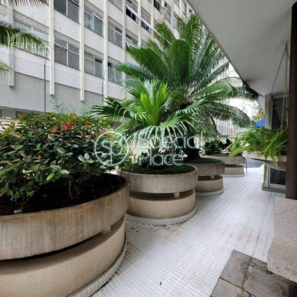 Imagem Apartamento com 3 Quartos à Venda, 250 m² em Higienópolis - São Paulo