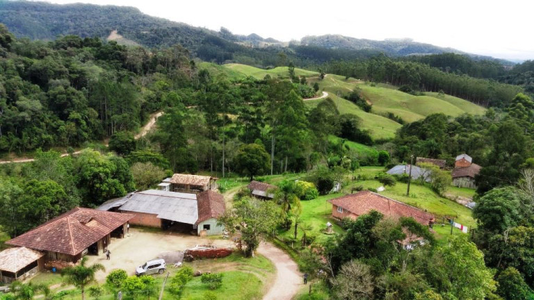 Imóvel com 6 Quartos à Venda, 250.000 m² em Zona Rural - Apiúna