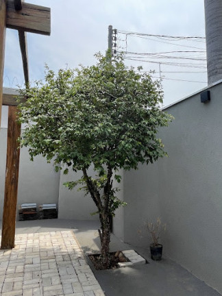 Imagem Casa com 3 Quartos à Venda, 242 m² em Caranda - Campo Grande