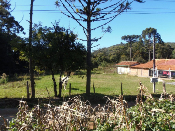 Imagem Terreno à Venda, 515 m² em Bateias - Campo Largo Imagem Terreno à Venda, 515 m² em Bateias - Campo Largo