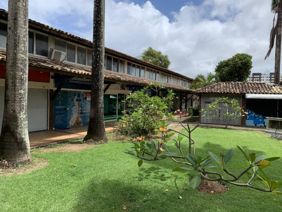 Imagem Sala Comercial para Alugar, 50 m² em Recreio Ipitanga - Lauro De Freitas Imagem Sala Comercial para Alugar, 50 m² em Recreio Ipitanga - Lauro De Freitas