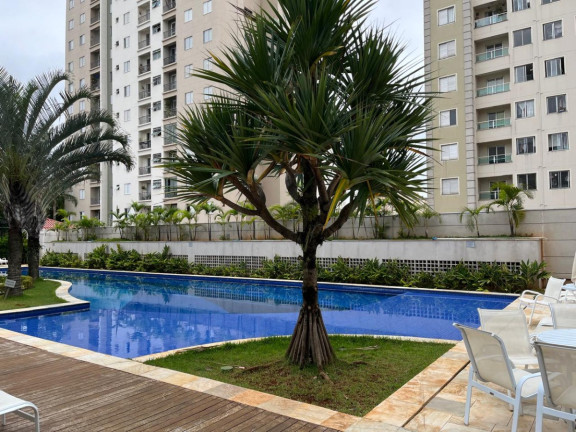 Imagem Apartamento com 3 Quartos à Venda, 83 m² em Vila Vera - São Paulo